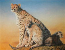 Realistic Animal Leopard